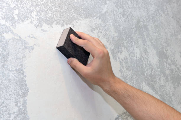 Best Real Estate Mold Inspection  in North Plymouth, MA