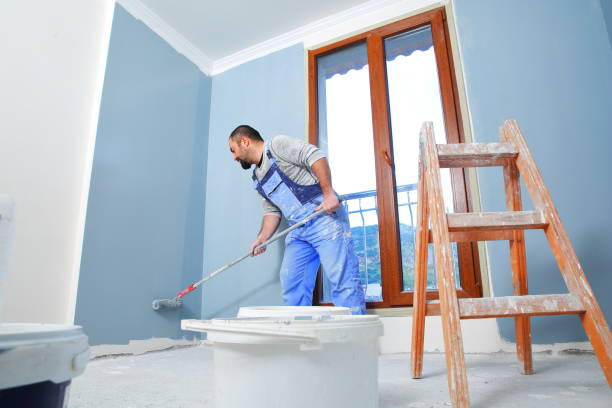 Best Water Damage & Mold Remediation  in North Plymouth, MA