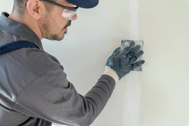Best Basement Mold Removal  in North Plymouth, MA