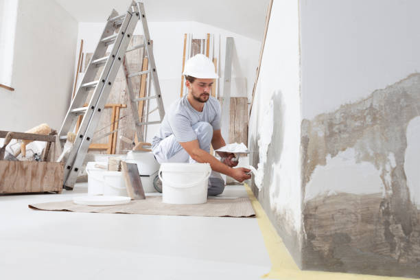  North Plymouth, MA Mold Removal Pros
