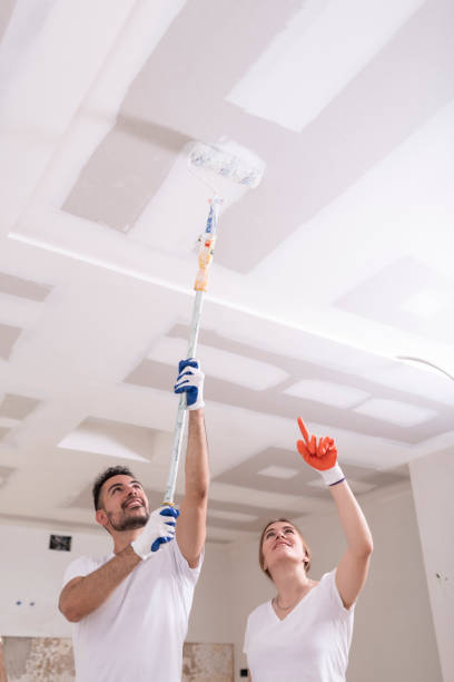 Best Black Mold Removal  in North Plymouth, MA