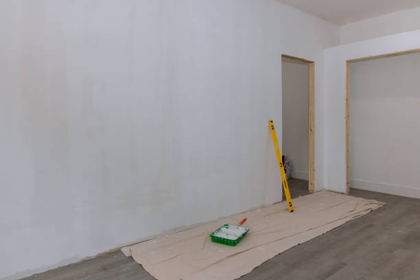 Best Environmental Consulting for Mold Prevention  in North Plymouth, MA