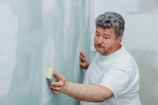 Best Attic Mold Removal  in North Plymouth, MA