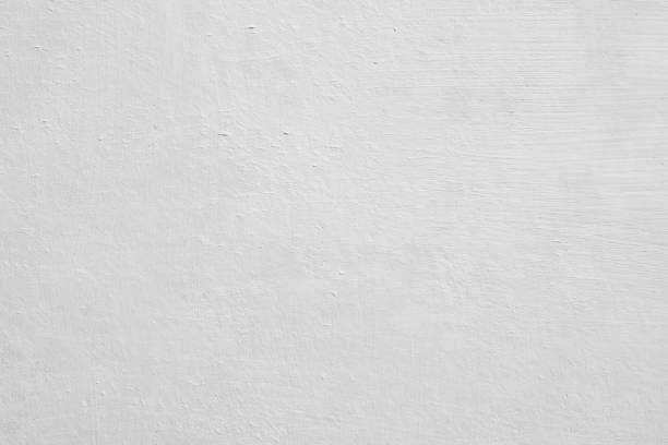 Reliable North Plymouth, MA Mold Removal Solutions