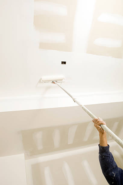 Biohazard Mold Removal in North Plymouth, MA