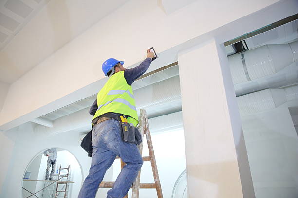 Best Crawl Space Mold Remediation  in North Plymouth, MA