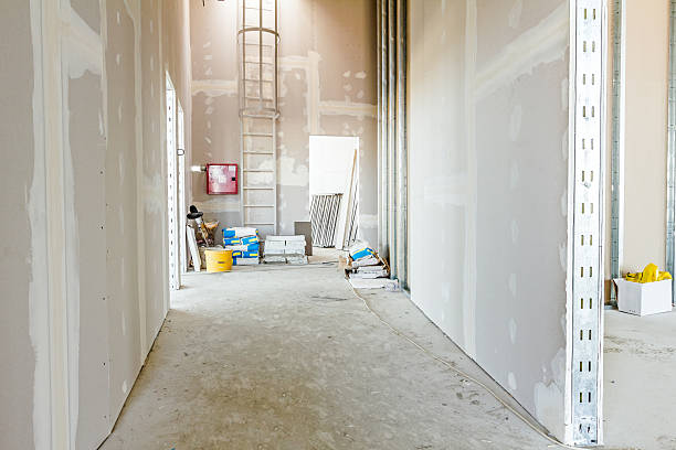 Best Commercial Mold Inspection  in North Plymouth, MA