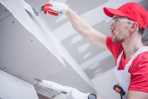 Best Comprehensive Air Testing for Mold Contaminants  in North Plymouth, MA